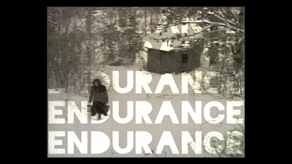 Endurance_01
